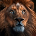 Godette、Lawd Ito - SOLITARIO