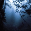 Pure Relaxation - Relaxing Rain & Thunder