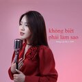 Dương Lan Nhi、MeMe Media、Viam - Không Biết Phải Làm Sao (Lofi Meme)