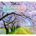 桜のトンネル～I graduate from you