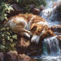 Sonidos esenciales de la naturaleza、Chica agua、Música para calmar perros - Sonidos De Agua Tranquila De Caninos