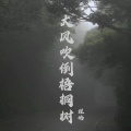 程皓 - 问病