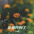 叶清枫 - 花都开好了
