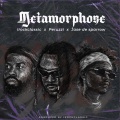 Metamorphose (feat. Peruzzi)(Explicit)