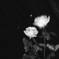 bump in the night (Explicit)