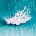 Sea of Colors