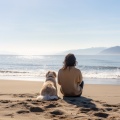 Océano Relajante Para Perros: Olas Suaves Para La Calma
