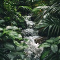 Felicidad de la música ambiental、Naturaleza Soundzzz Club、Terapia de relajación y alivio del estrés - Río Melódico Para Momentos Serenos