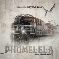 Venicolle、DJ Sub Zero、Ummravivo - Phumelela (feat. Dj sub zero & Ummravivo)
