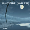 乌兰巴托的夜 (DJ何友 remix) (Remix)