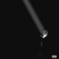 Miixii Beats - Rebelle