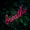 Neukrapsio - Breathe