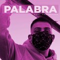 Dani the Menace、EneYgriega、Ferrarifonz_LLG - Palabra (Explicit)