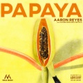 Aaron Reyes、Edu Castillo、DjFunky593 - Papaya