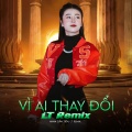 Vì Ai Thay Đổi (Lt Remix)