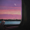 Sam Wills、Honey Mooncie - Traingazing