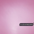 -九韶 - 千禧