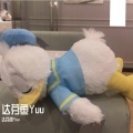 达芬鱼Yuu - 陪着你走
