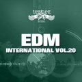 EDM International, Vol. 20