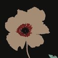 Nini Sofi、Aran Os - Rosas