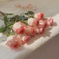 奶盐殿下、lier - LoveStruck