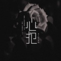 包治百病板蓝根 - 心犯