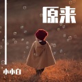小小白 - 原来