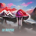 Lil Boosie