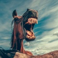 Vineotap、MemeFactory、Sammy Sendit - One Horse