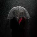 dogeniko - Survivor