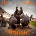 LSN、dslbro - Brûlant (feat. dslbro)(Explicit)