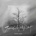 侯泽润、洋澜一 - 大风吹倒梧桐树