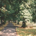 A Neighborhood Walk