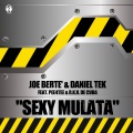 Sexy Mulata (Radio Edit)