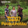 Pottuthottorungi Ninnu (From 