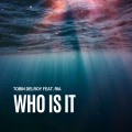 Kenny Laakkinen、Tobin Delroy - Who Is It (Kenny Laakkinen Cover Mix)