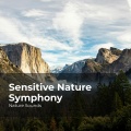 Sensitive Nature Symphony