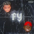 Fy (Explicit)