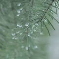 小鹿动画 - 助眠雷雨声：梦幻风暴