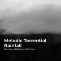 Rain Sounds Nature Collection、ASMR Rain Sounds、Sleepy Rain - Gloomy in Wilderness