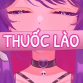 Prima - Thuốc Lào