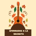 Aferrados a la Bachata