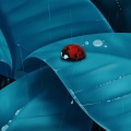自然钢琴·雨