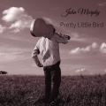 Pretty Little Bird