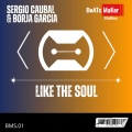 Like the Soul