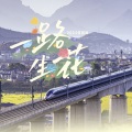 一路生花 (2024特别版)