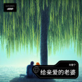 刘雪宁 - 给亲爱的老婆
