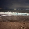 阿拉斯加海湾