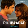 Dil Ibaadat (Sped Up)