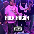 Hulk Hogan (feat. Tay B) (Explicit)